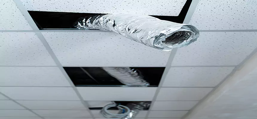 Our Air Duct Pet Hair Removal Services in Riverside, CA