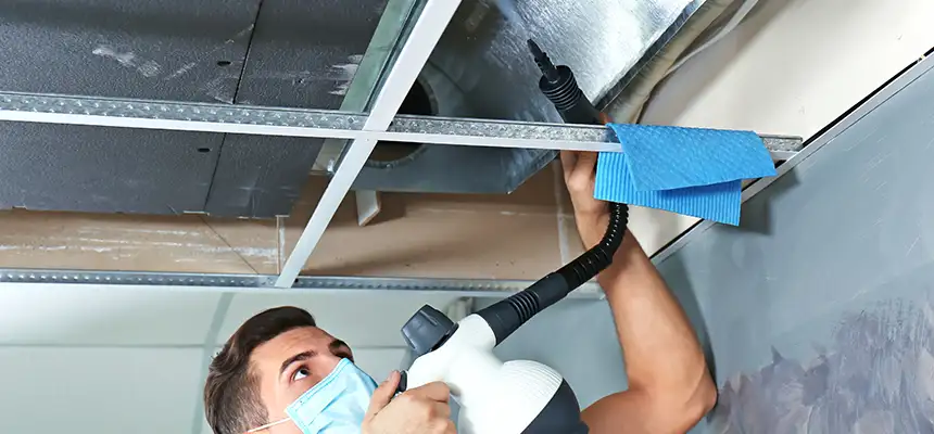 Our Air Duct Rodent Removal Services in Riverside, CA