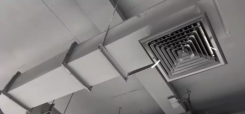 Our Pest Removal From Ducts Services in Riverside, CA