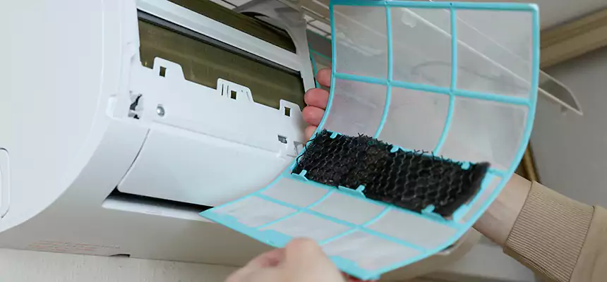 Gentle Ductwork Odor-Control Pet Dander Duct Cleaning in Riverside, CA