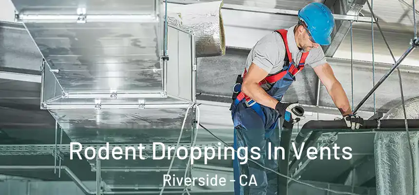 Rodent Droppings In Vents Riverside - CA