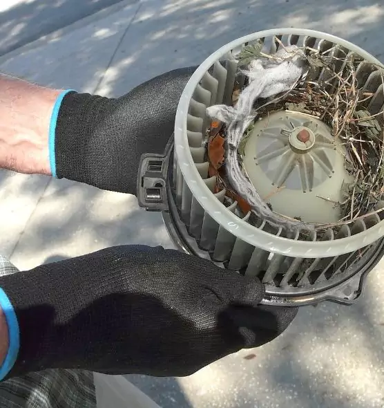 About Air Duct Mice Removal in Riverside, CA