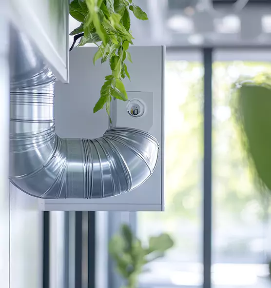 Professional Eco-Safe Dryer Vent Cleaning in Riverside, CA