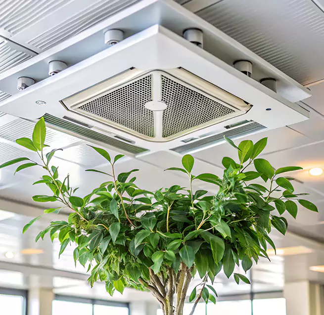 Why Homeowners & Businesses Trust Us in Riverside, CA