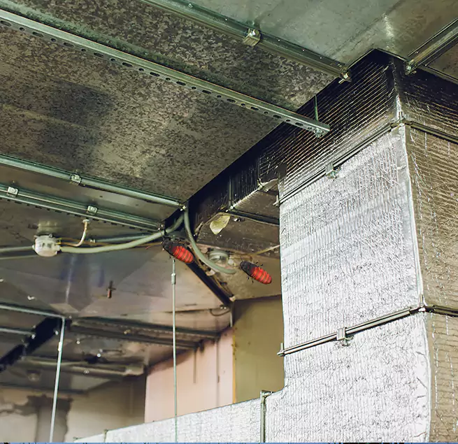 Why Homeowners & Businesses Trust Us Riverside, CA?